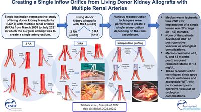 Creating a Single Inflow Orifice From Living Donor Kidney Allografts With Multiple Renal Arteries